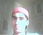 le-gentil-tigre@hotmail.fr